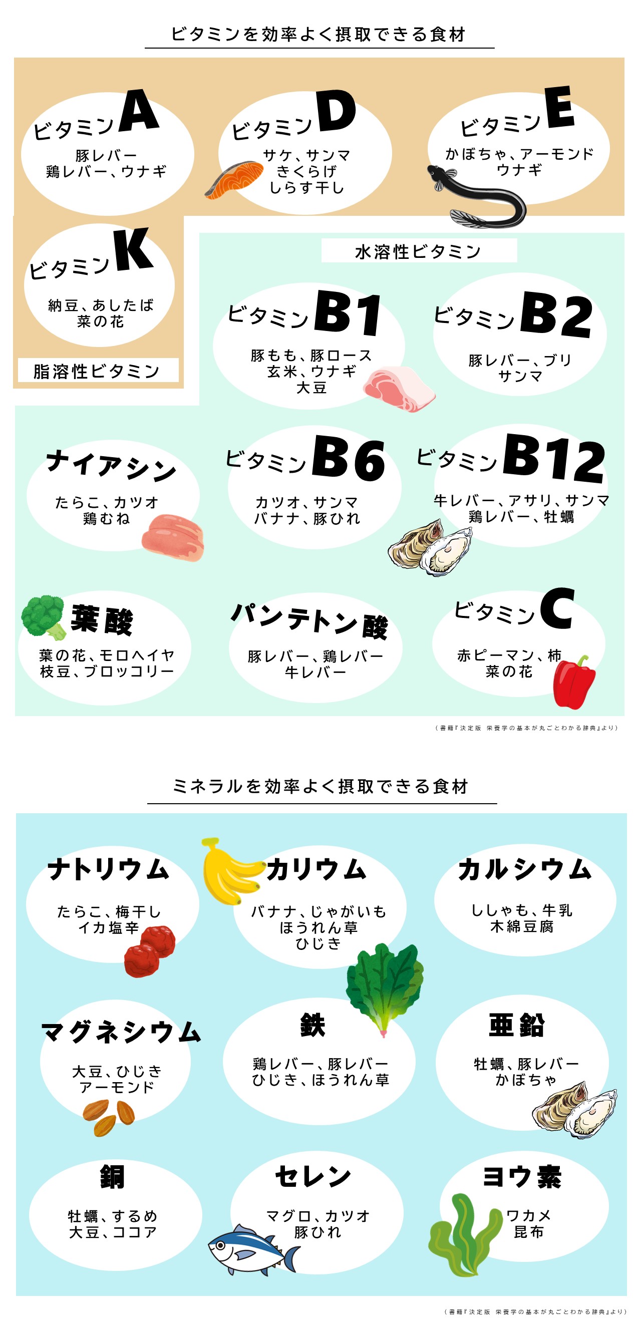 ｜RIZAP [ ライザップ ]健康まめ知識 ビタミン・ミネラル